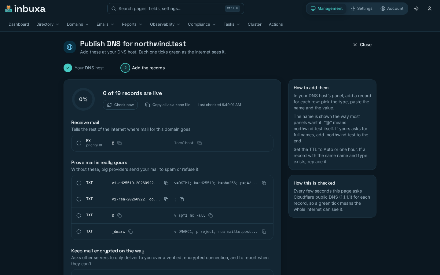 Publish DNS for a domain: each record to add, grouped by what it does, with its live check